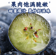 新鲜时令国产蓝莓水果 100g-125g/盒 送礼推荐 精选